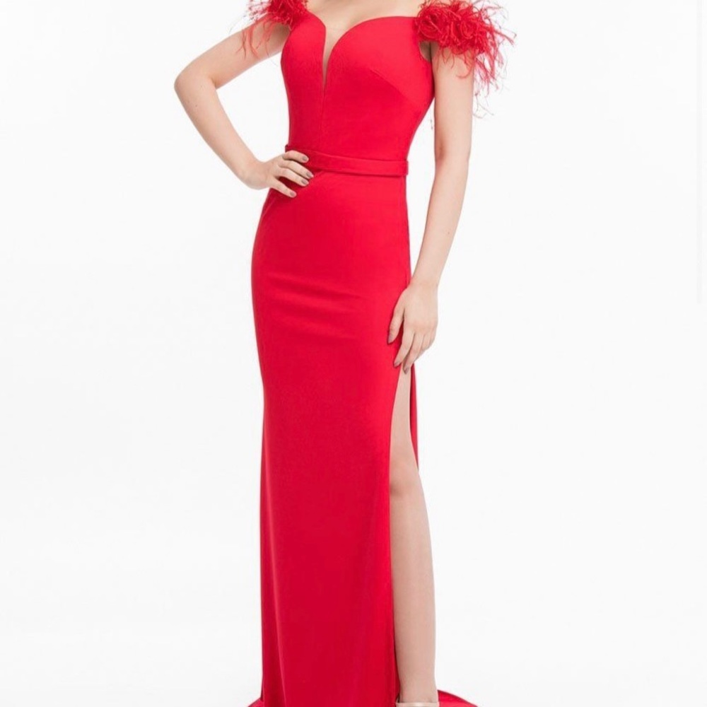 Terani Feather Red Gown Dress Couture 6